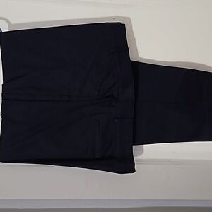 Avenue Women's Navy Blue Pants 24A